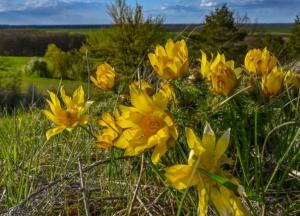 Прогноз погоды на 27 апреля: прохладно, местами дожди