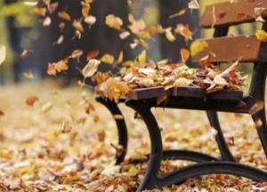 Прогноз погоды на 6 октября: сухо и солнечно, но с сильным ветром