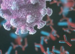 Ученые обнаружили, что у женщин и мужчин уровни антител к коронавирусу существенно отличаются