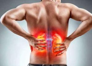 Медики назвали продукты, которые разрушают почки