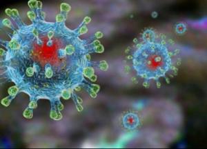 Вакцина от COVID может появиться уже к концу года