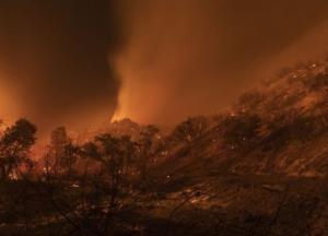 В Карелии горят леса. Введен режим чрезвычайной ситуации