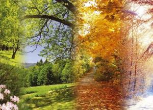 Прогноз погоды на 3 сентября: резкое похолодание на западе и жара на востоке