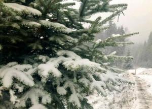Мокрый снег с дождем: появился прогноз погоды в Украине на начало недели