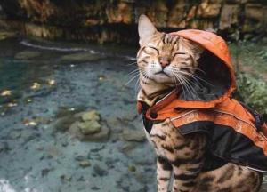 Прогноз погоды на 10 августа: большинство областей накроет непогода