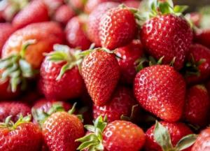 Медик назвал ягоду, предотвращающую раковые заболевания