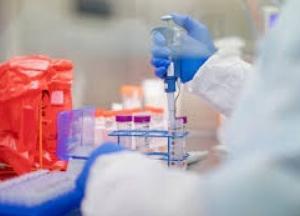 В Украине рекордное число выздоровевших от COVID