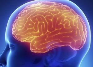 Ученые рассказали, как сохранить здоровье мозга после 30 