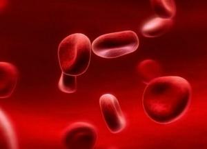 Медики назвали главные риски для обладателей второй группы крови