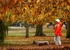 Прогноз погоды на 4 ноября: Украину охватит порывистый ветер