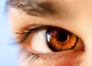 Ученые обнаружили у людей гены для регенерации глаз
