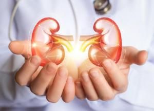 Медики назвали продукты, запрещенные при заболеваниях почек