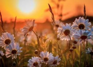 Прогноз погоды на 15 августа: солнечно и не жарко