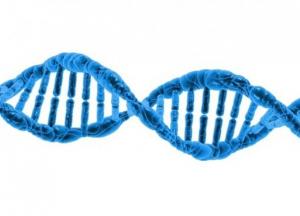 Обнаружены новые данные о происхождении жизни на Земле