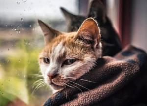 Жовтень в Україні розпочнеться з дуже холодної погоди