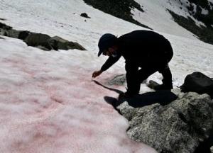 В итальянских Альпах появился розовый лед
