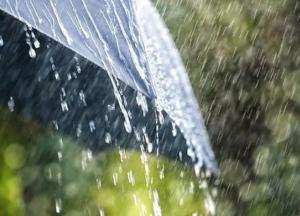 Два месяца дождей: синоптик рассказал, какой будет погода летом