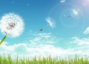 Прогноз погоды на 14 августа: жара постепенно спадает