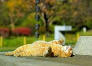 То дождь, то солнце: прогноз погоды в Украине на неделю