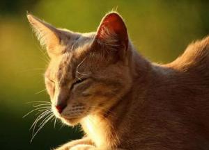 Прогноз погоды на 20 декабря: небольшое и временное похолодание