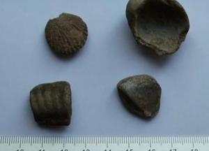 В фамильном поместье принцессы Дианы раскопали артефакты неандертальцев