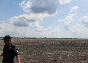 В лесополосе под Днепром нашли труп пропавшей 19-летней девушки (фото)