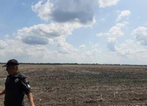 В лесополосе под Днепром нашли труп пропавшей 19-летней девушки (фото)