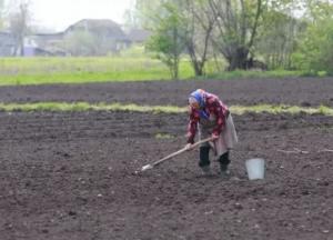 В Украине запустили платформу для продажи и покупки земли