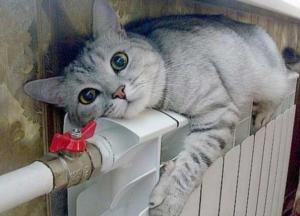 В Україні введуть режим економії опалення, як в Європі, - Асоціація міст