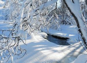 Ударит -23: синоптики испугали холодным прогнозом для Украины