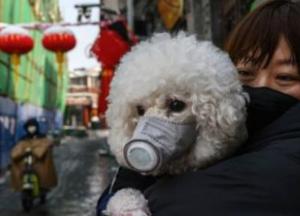 «Правдоподобность» тестов на коронавирус: если результат «возможный» - причисляют к смерти от COVID-19