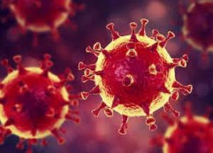 Ученые назвали еще один путь передачи коронавируса