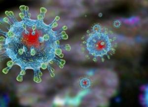 Ученые подтвердили еще один способ передачи коронавируса