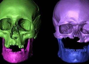 Ученые разгадали тайну "шестиглавого вождя" (фото)