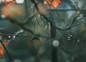 Какой будет погода в ноябре: прогноз синоптиков