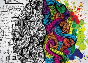 Ученые нашли в организме человека «второй мозг»