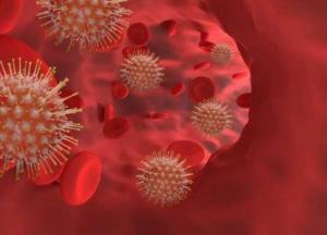 Медики нашли способ снизить уровень «плохого» холестерина без лекарств