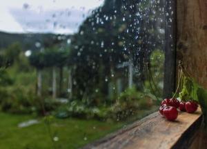 Прогноз погоды на 15 июня: Украину снова накроют грозы