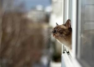 ​В воскресенье и понедельник дождевые тучи накроют Украину