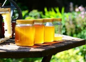 Диетологи объяснили, как распознать поддельный мед