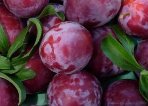 Назван самый дешевый фрукт в Украине