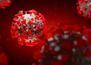 Ученые заявили о снижении иммунитета к COVID-19