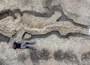 Ученые обнаружили полный скелет древнего ихтиозавра (фото)
