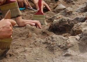 Во Франции археологи обнаружили древнее массовое захоронение 