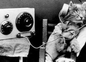 В Украине сегодня отмечают День работников радио, телевидения и связи