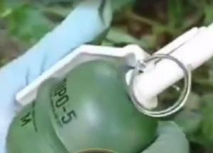 В киевском парке обнаружили "растяжку" с гранатой (видео)