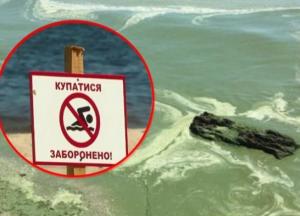 В Черном море нельзя купаться и ловить рыбу: что произошло (фото)
