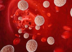 Как снизить риск сердечных заболеваний и уровень холестерина без лекарств: советы медиков