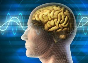 Ученые выяснили, как приостановить старение мозга