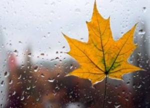 Прогноз погоды на 6 ноября: возвращаются дожди и грозы (карта)